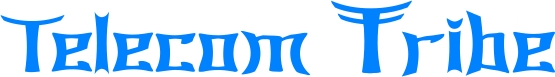 Telecom Tribe is now Live. Join the tribe at telecomtribe.com 1 telecomribe