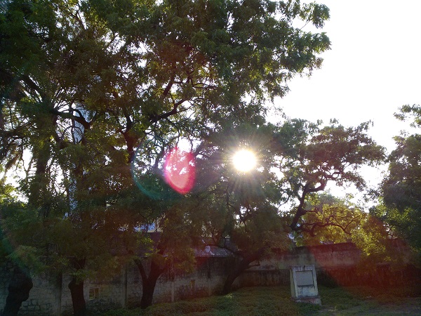 Gallery: Nokia Lumia 510 sample images 6 Lumia-510-3