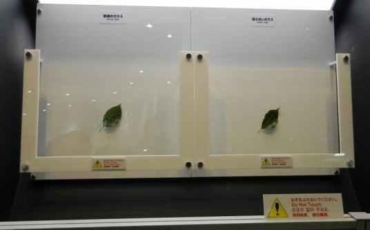 ‘Invisible Glass’ to eliminate glares on the screen 1 I glass