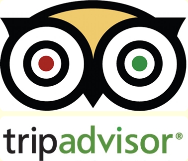 TripAdvisor crosses 10 million mobile downloads 1 TripAdvisor