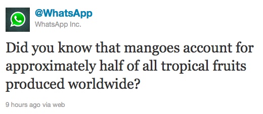 WhatsApp coming to Windows Phone Mango? 1 Whats-App-Windows-Phone-Mango