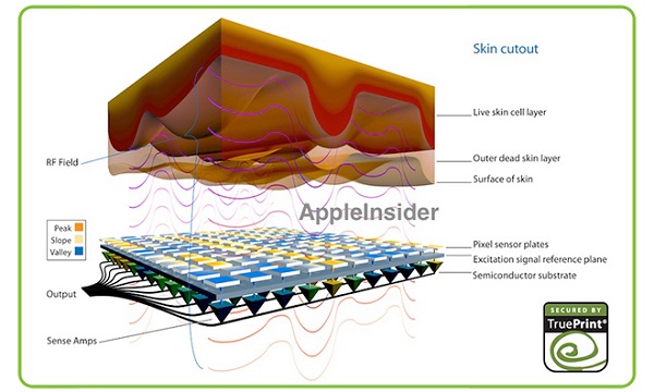 Apple-finger-print-scanner