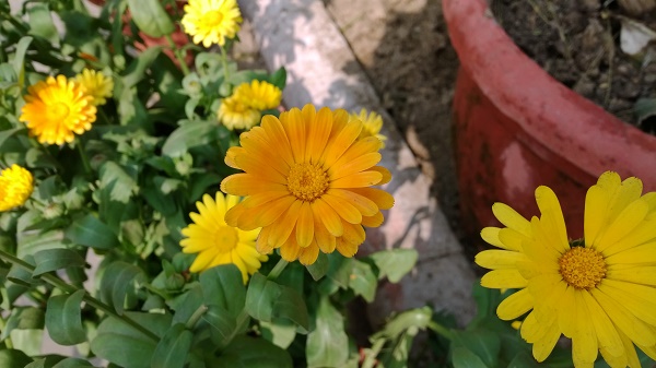 Lumia 1520 Sample 1