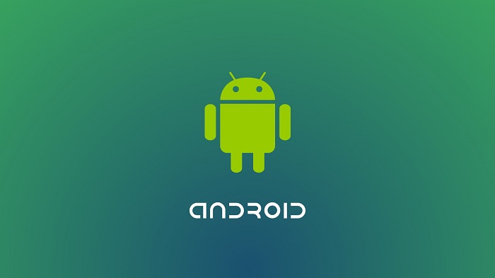 How to zoom entire screen on Android