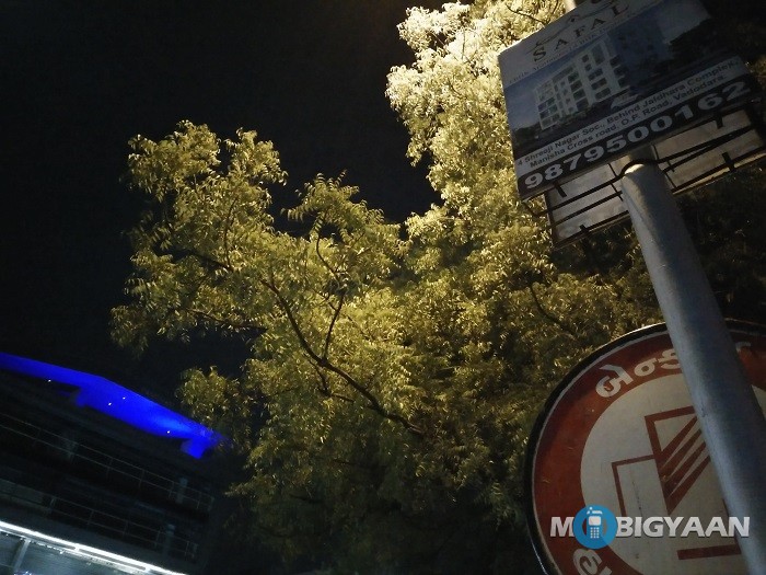 oneplus-x-review-camera-night-shot-tree-hdr