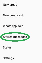 whatsapp-starred-messages-2