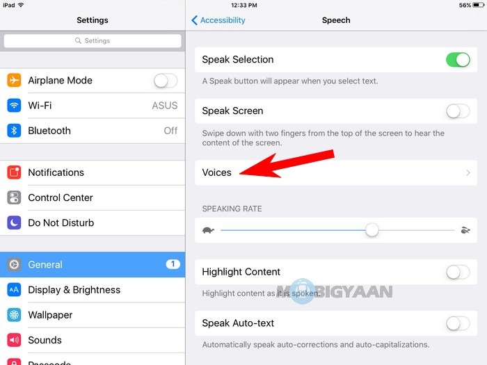 How to let your iPad speak text [iOS] [Guide] (06)
