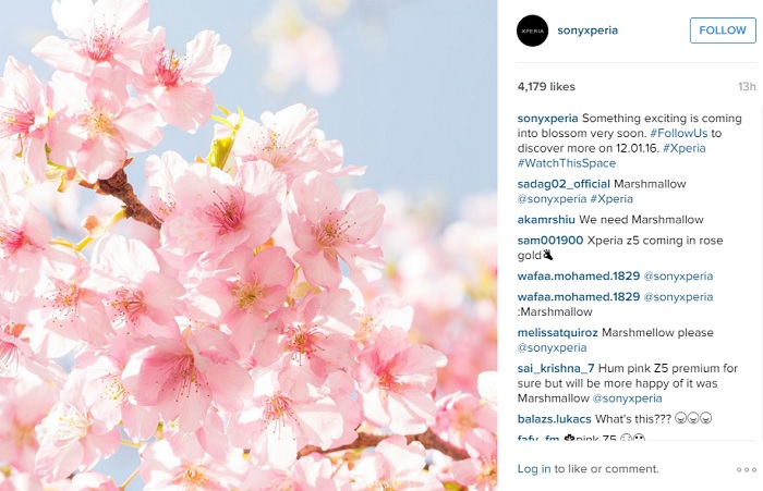 xperia-pink-color-device-instagram-post-2 