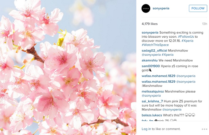 xperia-pink-color-device-instagram-post-2