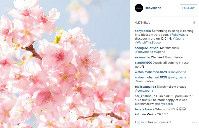 xperia-pink-color-device-instagram-post-2