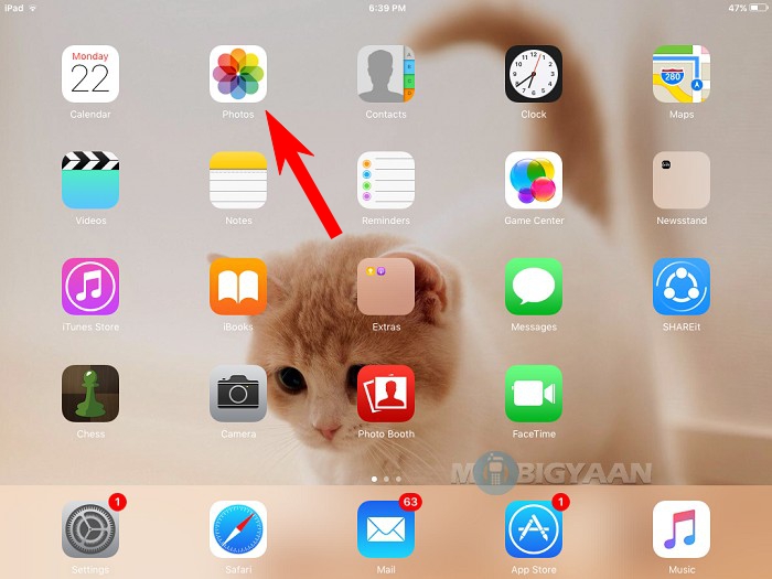 How to take a screenshot on ipad or iphone ios (2)