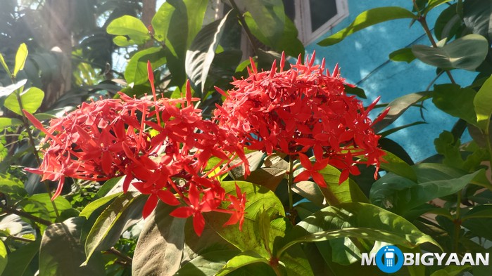 ASUS Zenfone Zoom Review 56 asus zenfone zoom camera samples