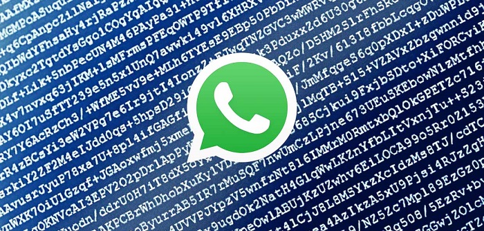 How WhatsApp end to end encryption works What you need to know 5