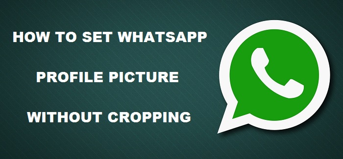 How to set WhatsApp profile picture without cropping (4)