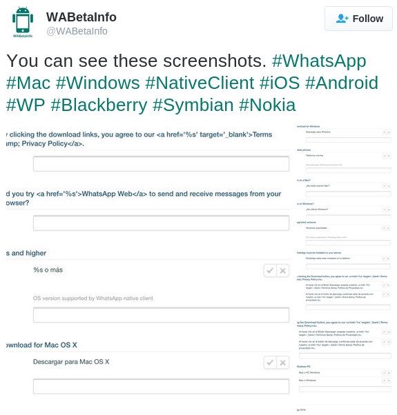 whatsapp-native-client-windows-os-x-tweet