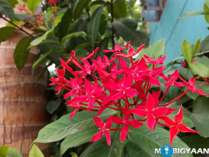 Honor 5C vs LeEco Le 2: Camera Comparison 2 Honor 5C vs LeEco Le 2