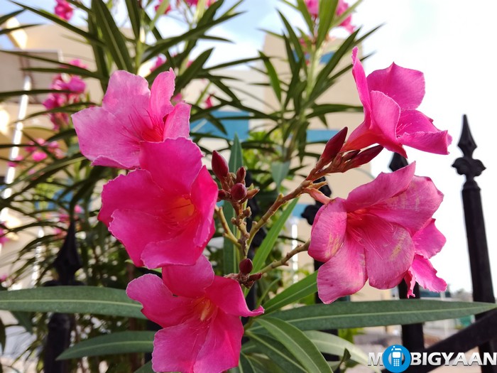 Honor 5C vs LeEco Le 2: Camera Comparison 14 Honor 5C vs LeEco Le 2