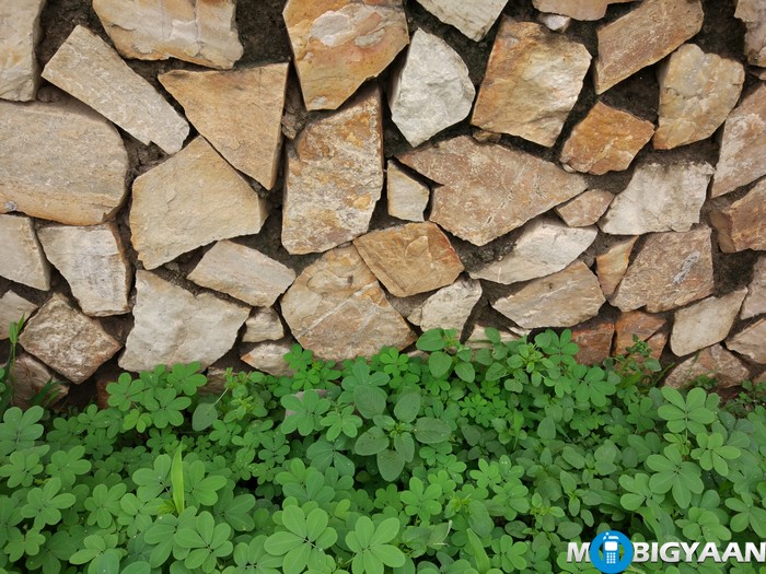 OnePlus 3 vs Xiaomi Mi 5 - Camera Comparison 3 OnePlus 3 vs Xiaomi Mi 5 camera
