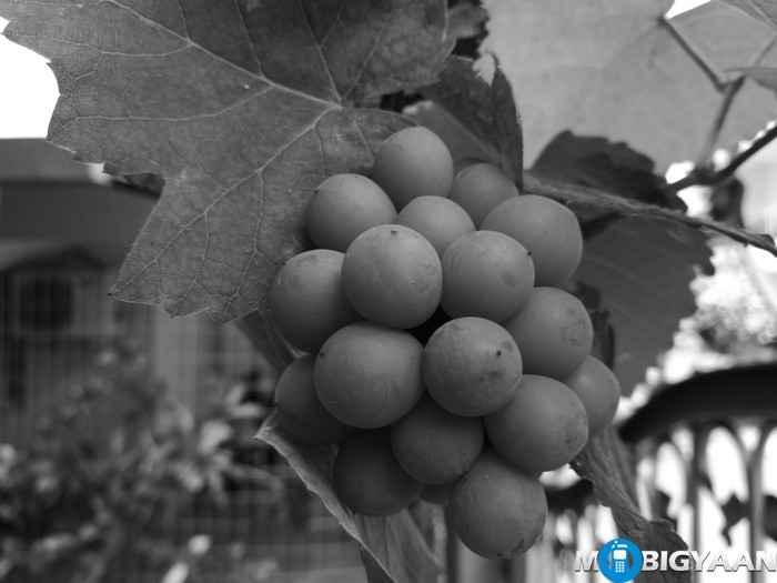 HUAWEI P9 Camera Monochrome Samples 1