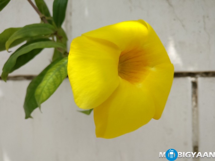 Huawei P9 vs OnePlus 3 - Camera Comparison 9 Huawei P9 vs OnePlus 3 Camera Comparison