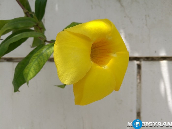 Huawei P9 vs OnePlus 3 - Camera Comparison 8 Huawei P9 vs OnePlus 3 Camera Comparison