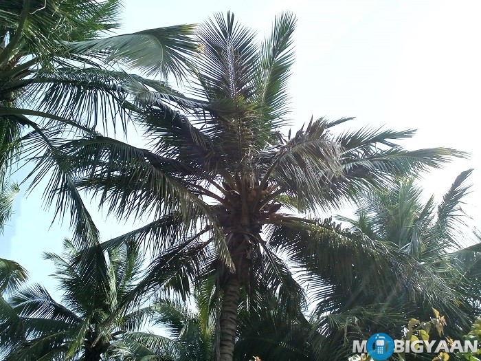 Coolpad Mega 2.5D Review 36 coolpad-mega-2-5d-review-camera-daylight-4-hdr