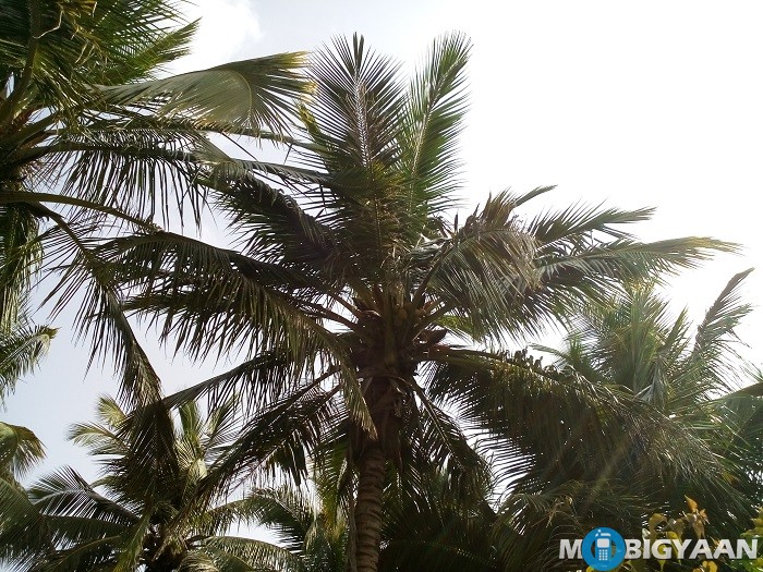 Coolpad Mega 2.5D Review 35 coolpad-mega-2-5d-review-camera-daylight-4-non-hdr