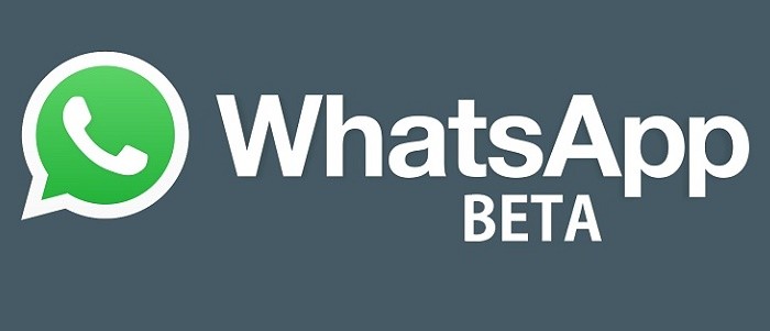 WhatsApp Beta 4 1