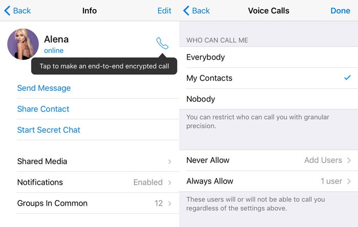 telegram voice calls