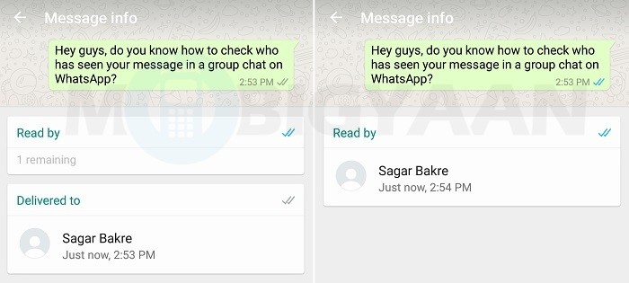 check-messages-ready-by-whatsapp-group-android-guide-2