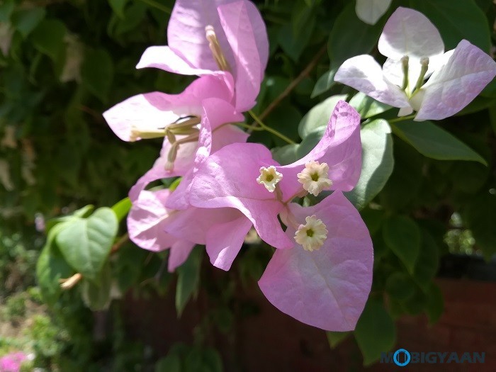 Honor 8 Lite Camera Samples 7 1