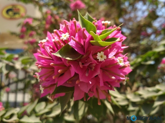 Xiaomi Redmi 4 Camera Samples 2