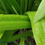 oneplus-5-review-camera-samples-daylight-17-2x-zoom
