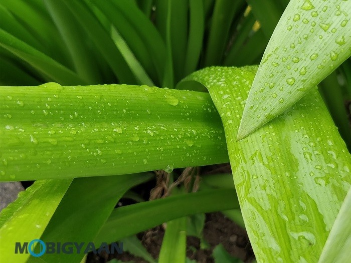oneplus-5-review-camera-samples-daylight-17-2x-zoom 