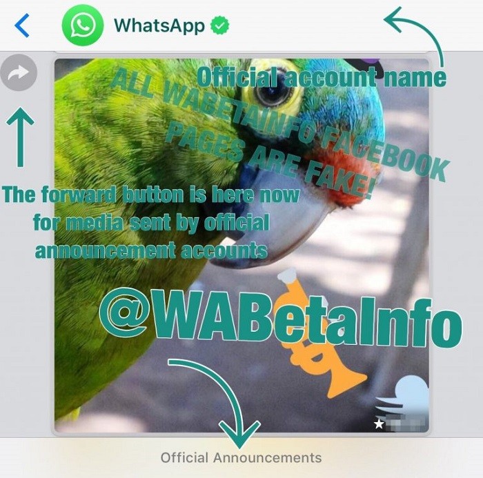 WhatsApp to introduce a new app with verified profiles for businesses soon 2 whatsapp business images 2