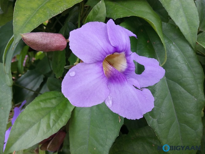 Lenovo K8 Note Review Camera Samples Images 16