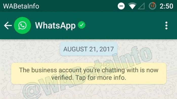 whatsapp-verified-business-account-1