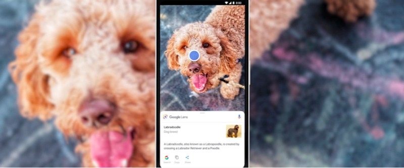 Google Lens will be available directly in the Camera app