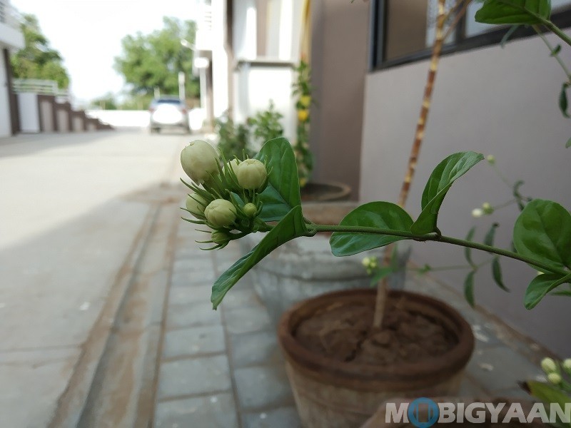 Redmi Y2 Review Camera Sample 07