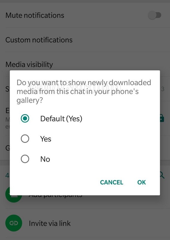 whatsapp media visibility android beta improved 2