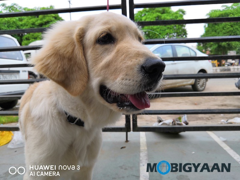 HUAWEI Nova 3 Review Camera Shots 14