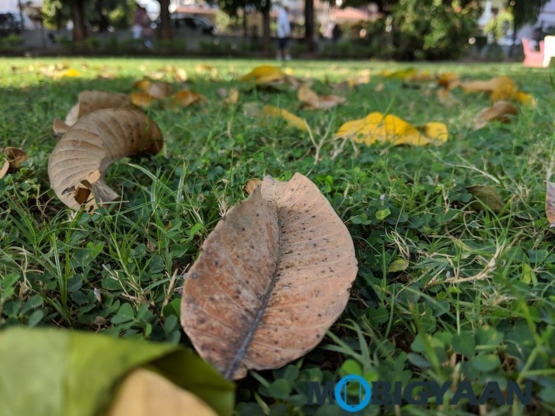 Google Pixel 3 XL Review Camera Samples 52