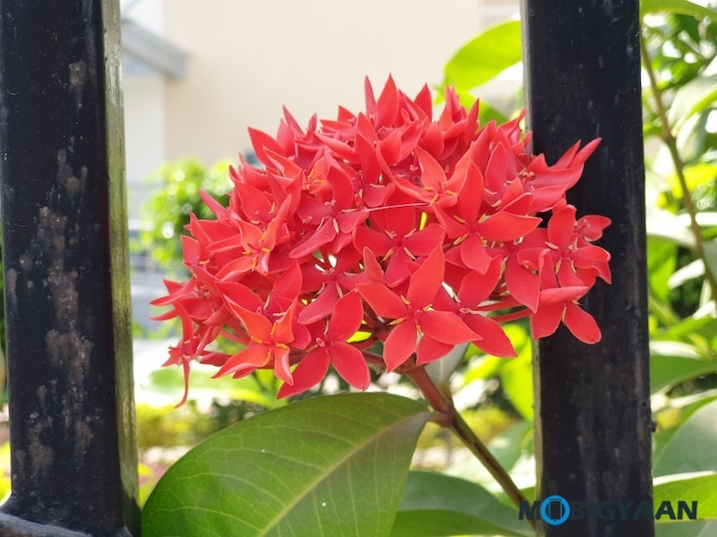 Samsung Galaxy Note9 Camera Samples 9