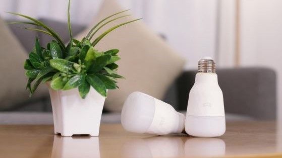 Xiaomi-owned smart lighting company Yeelight forays into Indian market with the launch of four products