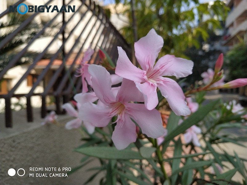 Xiaomi Redmi Note 6 Pro Camera Samples 7