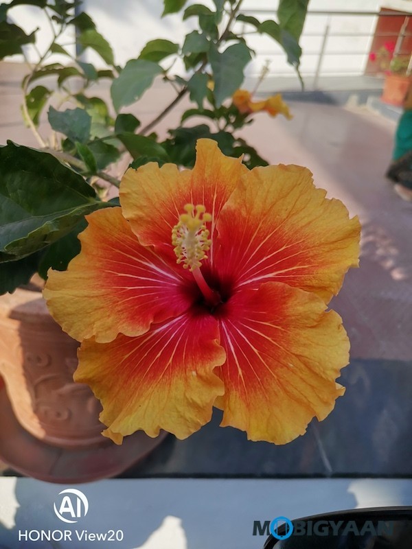Honor View20 Review Camera Samples Daylight Photos 15