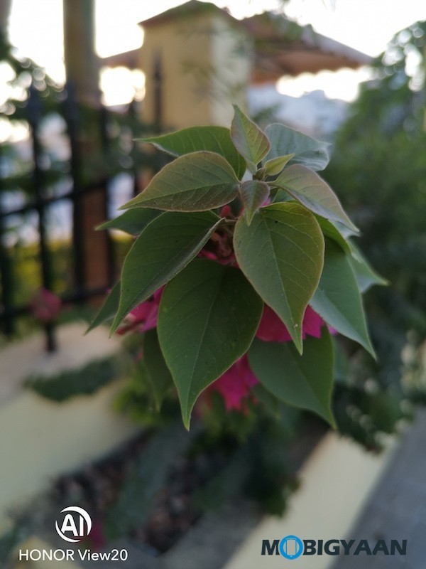 Honor View20 Review Camera Samples Daylight Photos 16
