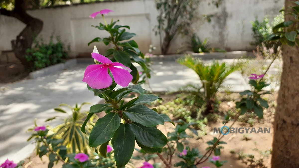 Galaxy M30 Camera Sample 10