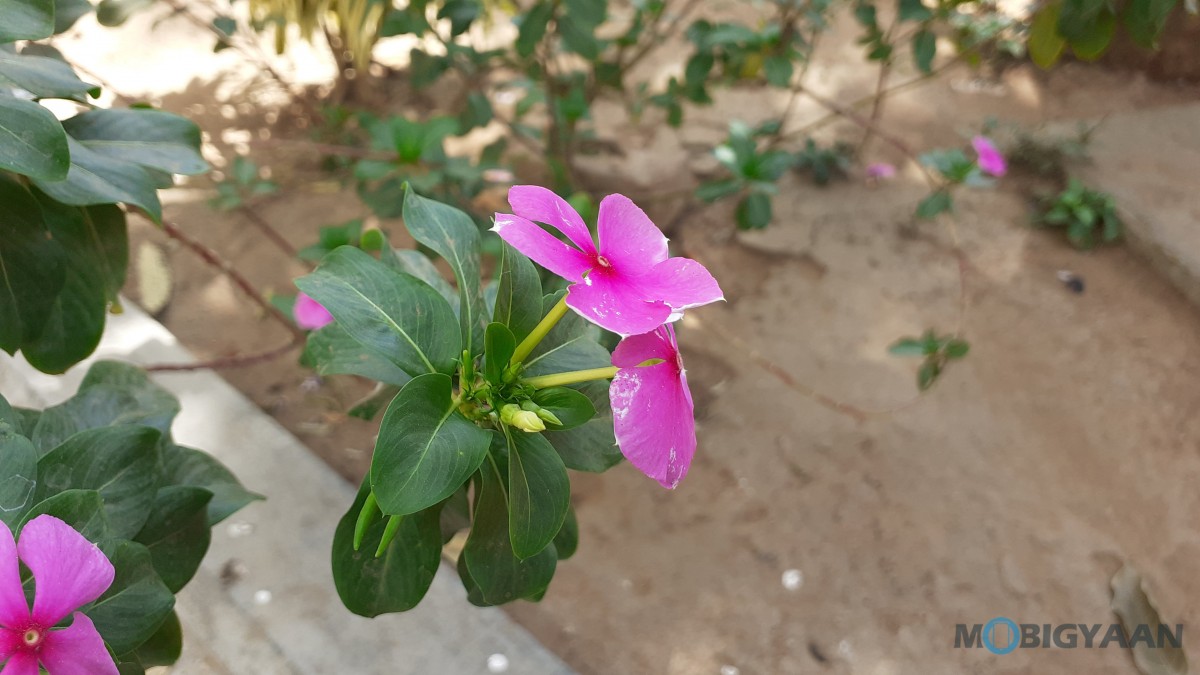 Galaxy M30 Camera Sample 11