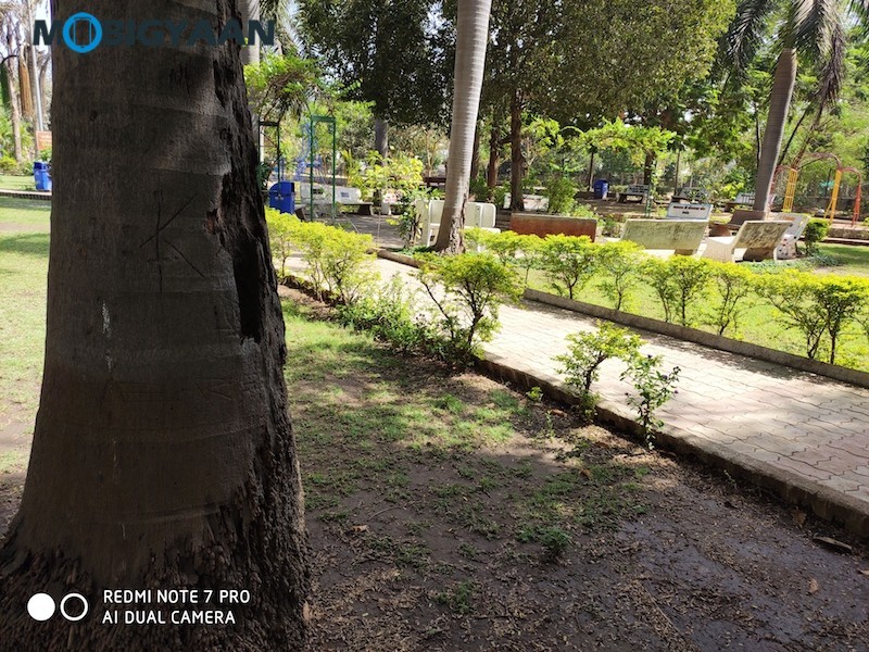 Xiaomi Redmi Note 7 Pro Camera Samples 12